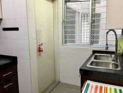 Mandarin Gardens (D15), Condominium #572830951